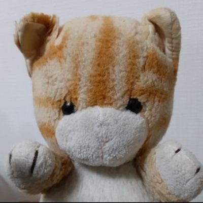 fufufunofuchan2's profile picture. ファースト社生まれのふわふわのふーちゃんにゃん💕😻
フードファイターのふーでもありますにゃんから、よろしくにゃんね!!🍜🍔🍖🍚🍣　　　　　可愛いぬいぐるみさんは無言でフォローボタン押してしまうにゃんから許してにゃんよ🐈🐾

ゆるーくつぶやいてる、食べることが大好きな食いしん坊猫です。ぬいぐるみ専用アカ