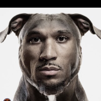 joshua_lungene's profile picture. Delusional New York Fan