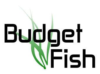 budgetfish's profile picture. Wij verzorgen de inrichting en onderhoud van aquariums bij particulieren en bedrijven. Daarbij  leveren wij ook de tropische vissen en planten.