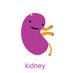 Kidney Padawan (@kidneypadawan) Twitter profile photo Kidney Padawan (@kidneypadawan) Twitter profile photo