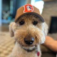 John (@paytonnixera) 's Twitter Profile Photo