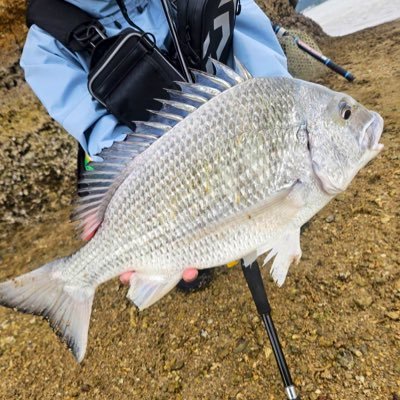 ジグザグ。 (@4939xxx) / Posts / X