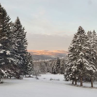 Organic farmer in God's Country, northern NH. USA all the way.
Nana to my grandkids.
MAGA