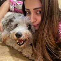 Trish (@trishtrashers) 's Twitter Profile