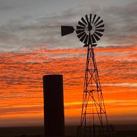 Circle Z Farms (@circlez_farms) 's Twitter Profile