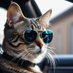 p-DJ MEOW 🇺🇦🇵🇱🇸🇪 (@b1980_cornelius) Twitter profile photo p-DJ MEOW 🇺🇦🇵🇱🇸🇪 (@b1980_cornelius) Twitter profile photo