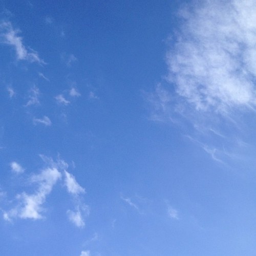 cocojonjon's profile picture. 