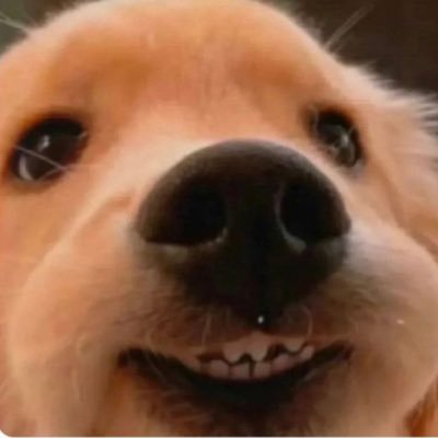 ilovedyour_'s profile picture. 
