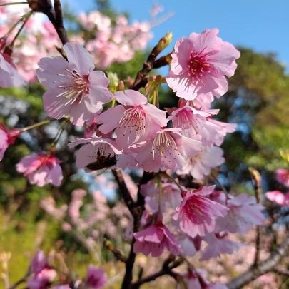 PeterJa28236550's profile picture. Truth of life: “Don’t be overconfident. When someone says they like you🥰😘