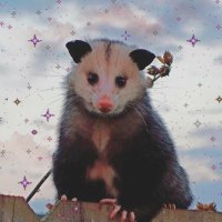 possum princess (@veggiequeen420) 's Twitter Profile Photo