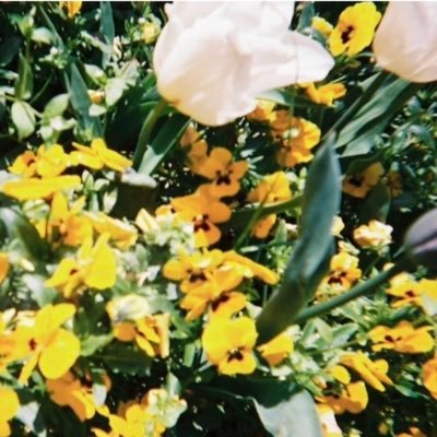 haaa___ss's profile picture. (21) 🔑