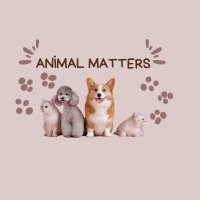 Animal Matters (@animalmattersny) 's Twitter Profile Photo Animal Matters (@animalmattersny) 's Twitter Profile Photo
