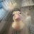 03Tran47738's profile image