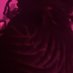 Nini Hendrix (@prettiestbarbni) Twitter profile photo Nini Hendrix (@prettiestbarbni) Twitter profile photo