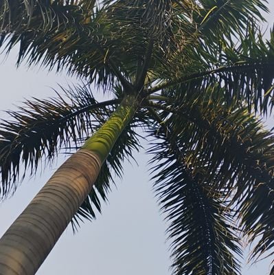 ravinder70901's profile picture. follow me and get follow back 100%