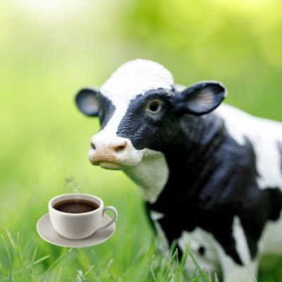 steakndcoffee's profile picture. Focused💰