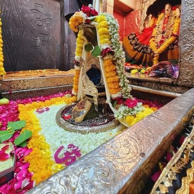 shuklaji425's profile picture. (अश्लील है ये लौंडा)