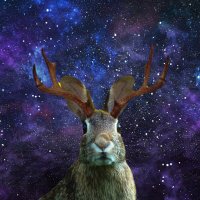 Jarimla (@lastdaysoftwit) 's Twitter Profile Photo Jarimla (@lastdaysoftwit) 's Twitter Profile Photo