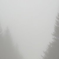 James (@james142421) 's Twitter Profile