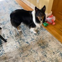 Benji🌈 & Madison&Jer🌈 (@ritakay555) 's Twitter Profile Photo Benji🌈 & Madison&Jer🌈 (@ritakay555) 's Twitter Profile Photo