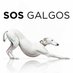 SOS Galgos (@SOSGalgos) Twitter profile photo