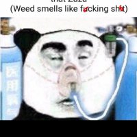 Gas Station Boner Pill Nationalism (@adderall_king) 's Twitter Profile Photo Gas Station Boner Pill Nationalism (@adderall_king) 's Twitter Profile Photo