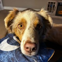 Windchaser (@windchaser22) 's Twitter Profile