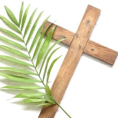 dailyverz's profile picture. Jesus Christ died for our sins to save us all through Him. Rose on the third day because death couldn't hold Him down. We are serving a living God!