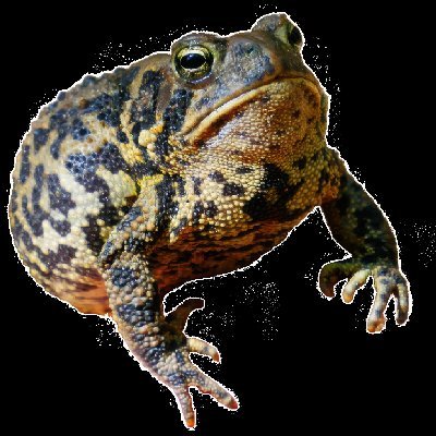 OTPSecretary's profile picture. 