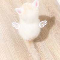ヒナ (@tag_d21079) 's Twitter Profile Photo ヒナ (@tag_d21079) 's Twitter Profile Photo