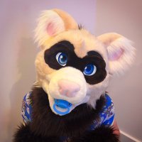 DiaperBandit (@lilbanditpaws) 's Twitter Profile