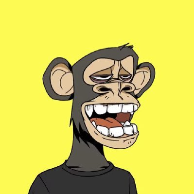 @0xtimooo