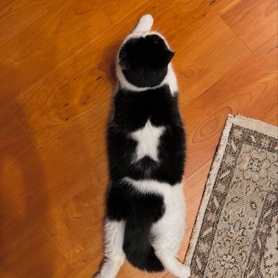 just1realized's profile picture. 