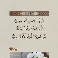 … .. (@frztor16) 's Twitter Profile