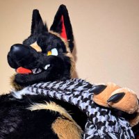 Houndstooth (@chomphund) 's Twitter Profile