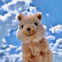 ๋์ด์ด (@nooyeeyee) 's Twitter Profile Photo ๋์ด์ด (@nooyeeyee) 's Twitter Profile Photo