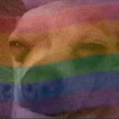itmifli's profile picture. tính toxic, thích gì share nấy