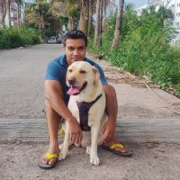 Akhilesh Joshi 🏹 (@smartvoter_) 's Twitter Profile Photo Akhilesh Joshi 🏹 (@smartvoter_) 's Twitter Profile Photo