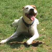 Jim Sheen (@jim_sheen36986) 's Twitter Profile Photo Jim Sheen (@jim_sheen36986) 's Twitter Profile Photo