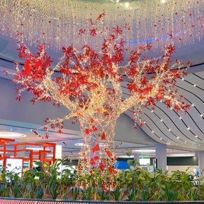 Mabosaken's profile picture. 😁