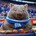 El del wombat (@wombat_rz) Twitter profile photo El del wombat (@wombat_rz) Twitter profile photo