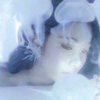 켄지 🪼 (@kenjicoded) 's Twitter Profile