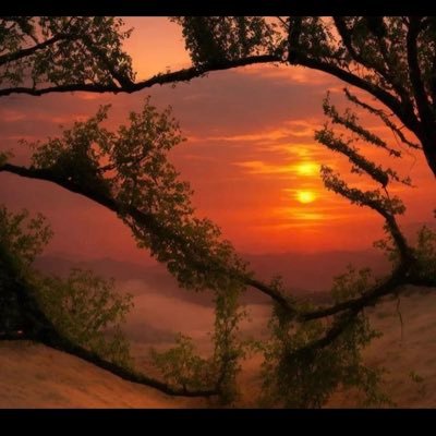 yigitalituncay's profile picture. canakkale ici mesaj at zevk için