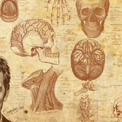 ghth1211's profile picture. 