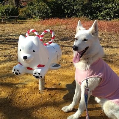 masasaikyou's profile picture. 静岡県/浜松市/舘山寺/ 整体師歴23年/池野整体療術所代表 柔道・空手有段/13年前心筋梗塞で40分心停止からいろんな方にお世話になり蘇生しました。