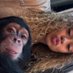 Mrs. Get even 🫶🏽🥰 (@bitches2weird) Twitter profile photo Mrs. Get even 🫶🏽🥰 (@bitches2weird) Twitter profile photo