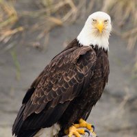 Fred Kayitare (@fredkayitare19) 's Twitter Profile Photo