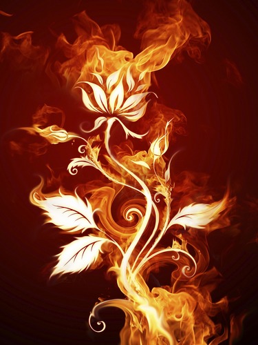 LucyChinorai's profile picture. 