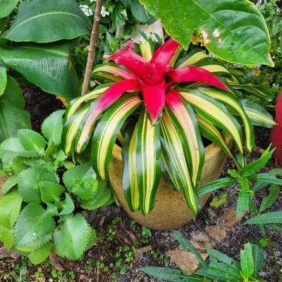 sharon_fag41788's profile picture. no DM