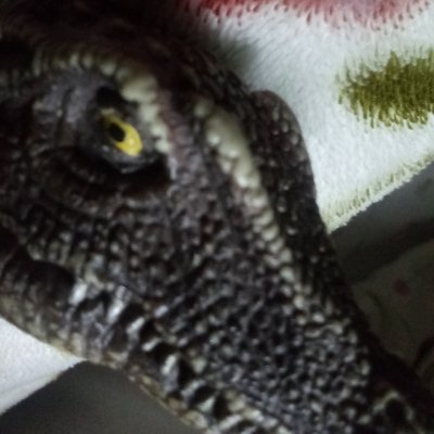 sexyspiny69's profile picture. ★The sexiest Spinosaurus East of Egypt😎
★Looking for hot dino babes😍
★Will send Spine™ pics if asked politely🌶️🥵

Make Love, Not War☮️✌️
